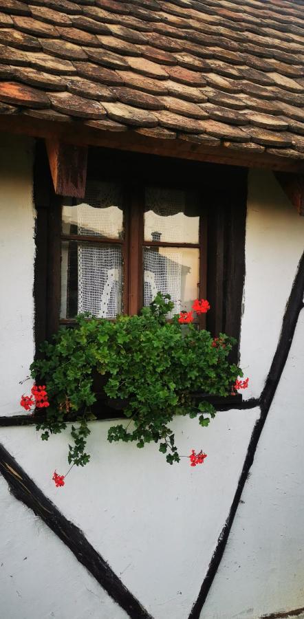 Etno Domacinstvo Miris Bosiljka Appartement Mislodin Buitenkant foto