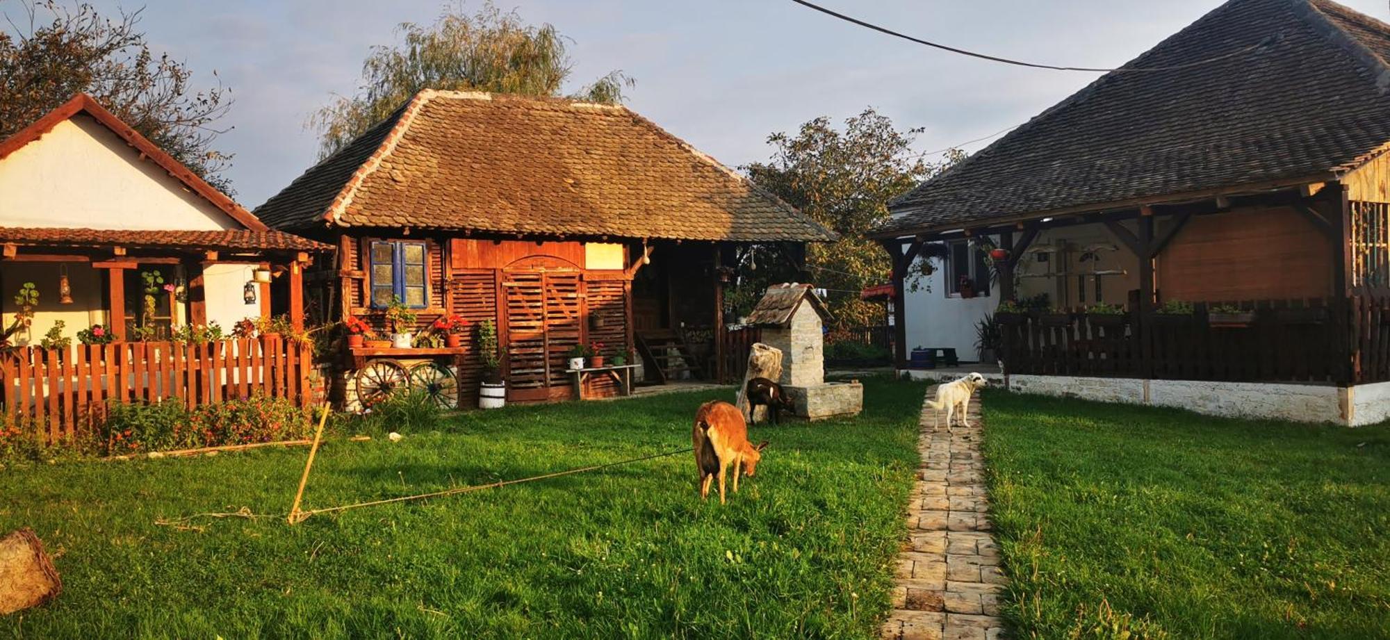 Etno Domacinstvo Miris Bosiljka Appartement Mislodin Buitenkant foto